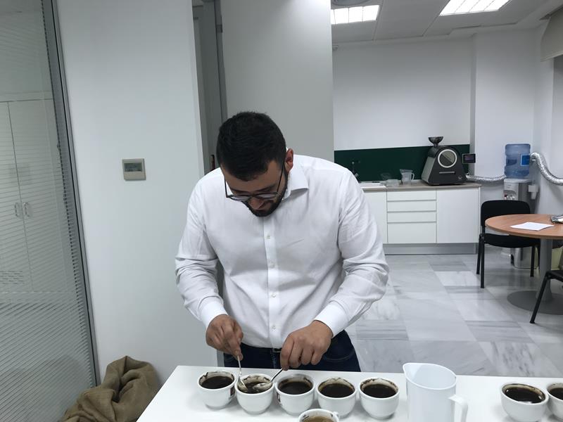 lavorazione del caffè verde